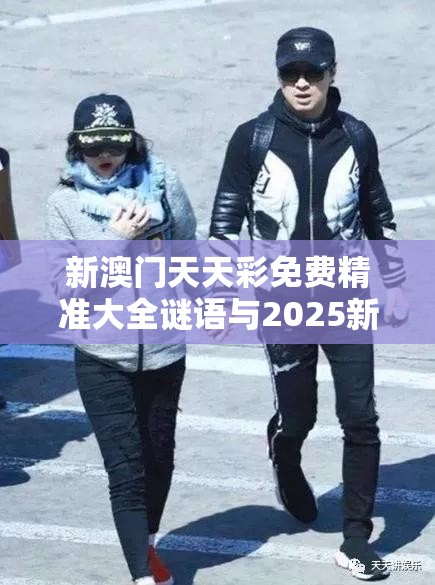 新澳门天天彩免费精准大全谜语与2025新澳天天正版免费观看，警惕虚假诱导危害-痛点释义、专家解析解释与落实