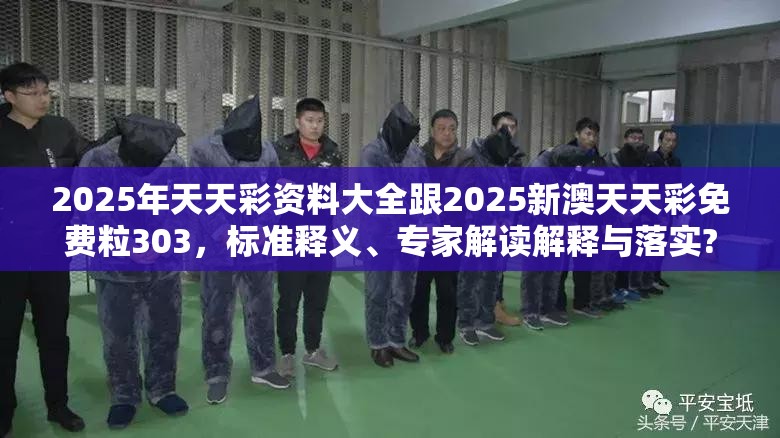 2025年天天彩资料大全跟2025新澳天天彩免费粒303，标准释义、专家解读解释与落实?留心虚假的虚架势