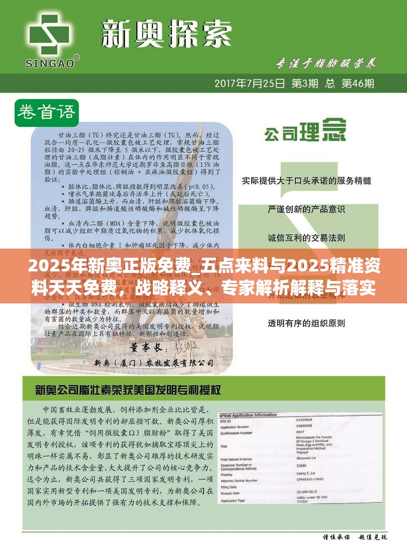 2025年新奥正版免费_五点来料与2025精准资料天天免费，战略释义、专家解析解释与落实,留心欺诈性营销