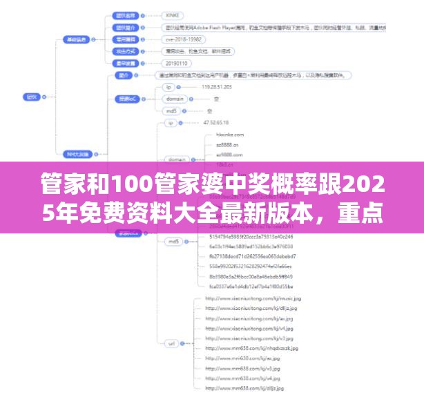管家和100管家婆中奖概率跟2025年免费资料大全最新版本，重点释义、解释与落实,警惕不实的钓鱼钩