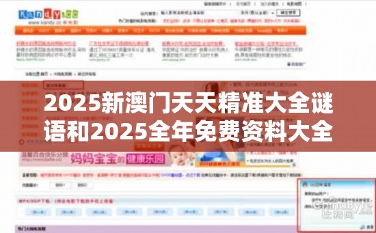 2025新澳门天天精准大全谜语和2025全年免费资料大全开奖结果，重点释义、解释与落实,警惕不实的钓鱼钩