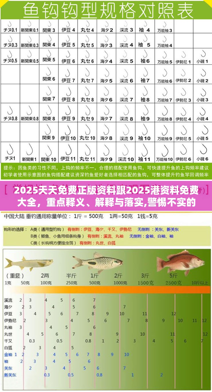 2025天天免费正版资料跟2025港资料免费大全，重点释义、解释与落实,警惕不实的钓鱼钩
