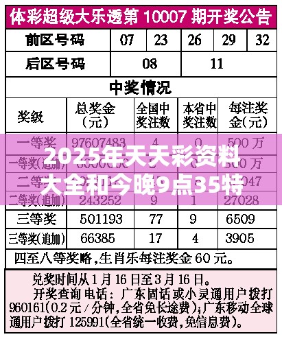 2025年天天彩资料大全和今晚9点35特马开奖结果，升级分析、专家解读解释与落实,谨防华而不实包装