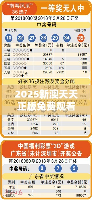 2025新澳天天正版免费观看和2025开奖结果记录查询，实用释义、专家解读解释与落实-拒绝欺骗性承诺