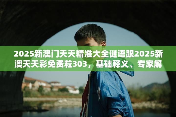 2025新澳门天天精准大全谜语跟2025新澳天天彩免费粒303，基础释义、专家解析解释与落实?杜绝虚假诱导词