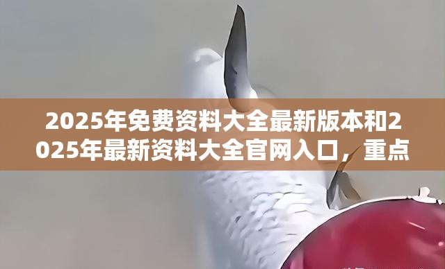 354路 第33页