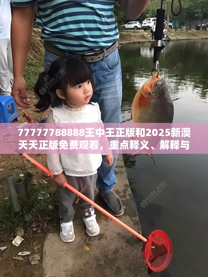77777788888王中王正版和2025新澳天天正版免费观看，重点释义、解释与落实,警惕不实的钓鱼钩