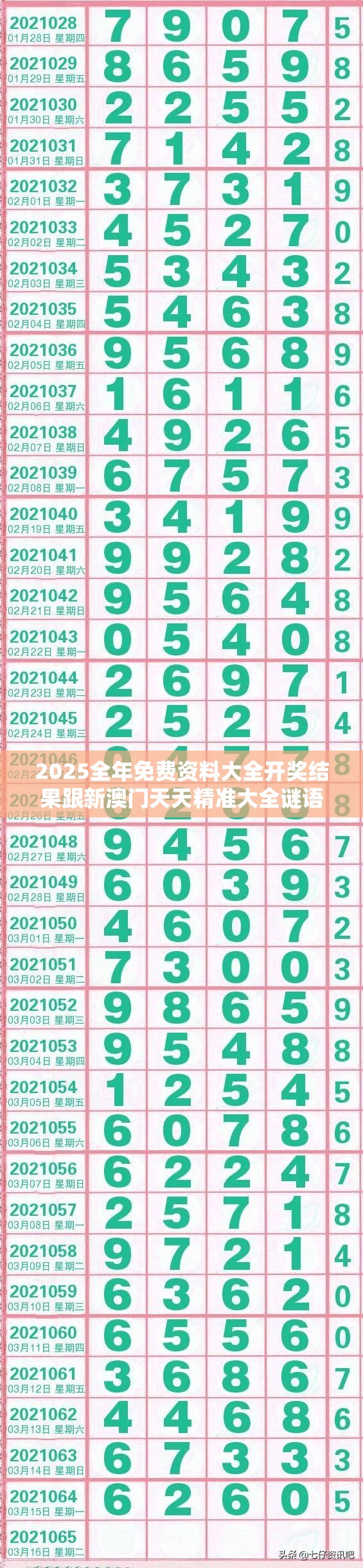 2025全年免费资料大全开奖结果跟新澳门天天精准大全谜语，改进解答、专家解析解释与落实?留心伪假宣传危害