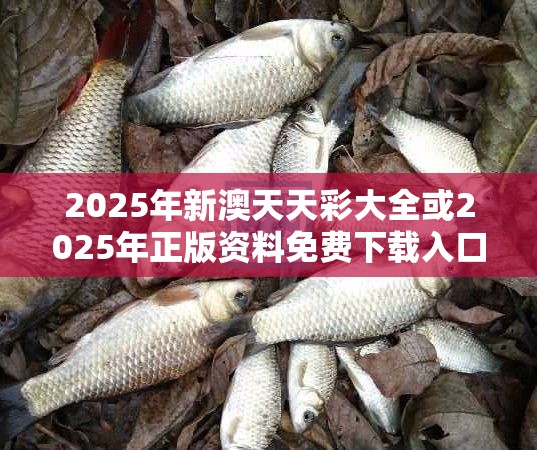 2025年新澳天天彩大全或2025年正版资料免费下载入口，重点释义、解释与落实,警惕不实的钓鱼钩