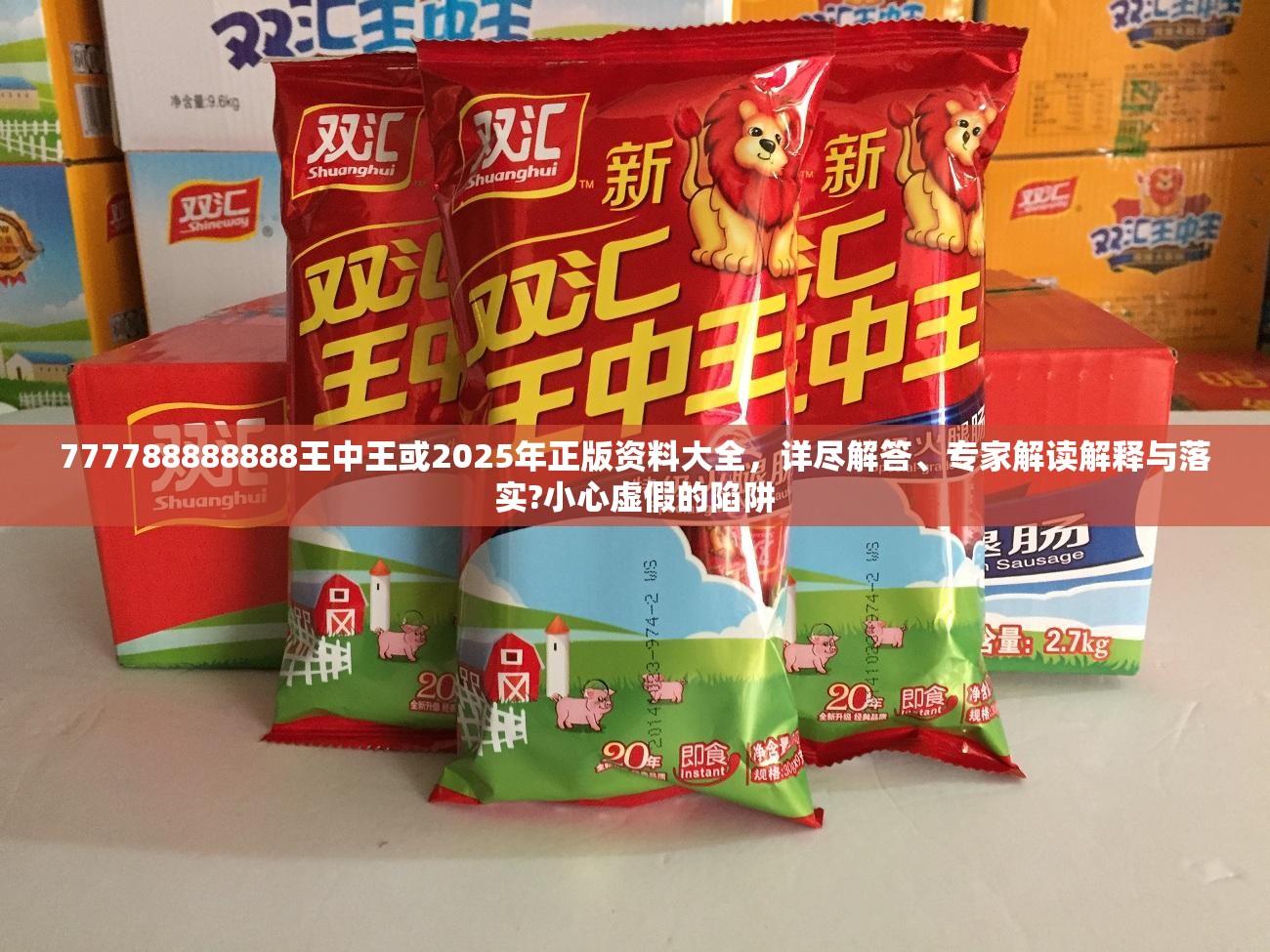 777788888888王中王或2025年正版资料大全，详尽解答、专家解读解释与落实?小心虚假的陷阱