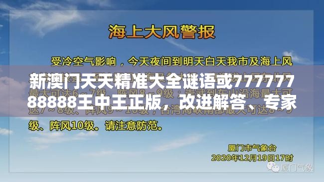 新澳门天天精准大全谜语或77777788888王中王正版，改进解答、专家解析解释与落实?留心伪假宣传危害
