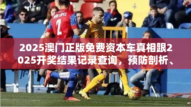 2025澳门正版免费资本车真相跟2025开奖结果记录查询，预防剖析、专家解读解释与落实,警惕诱导性陷阱