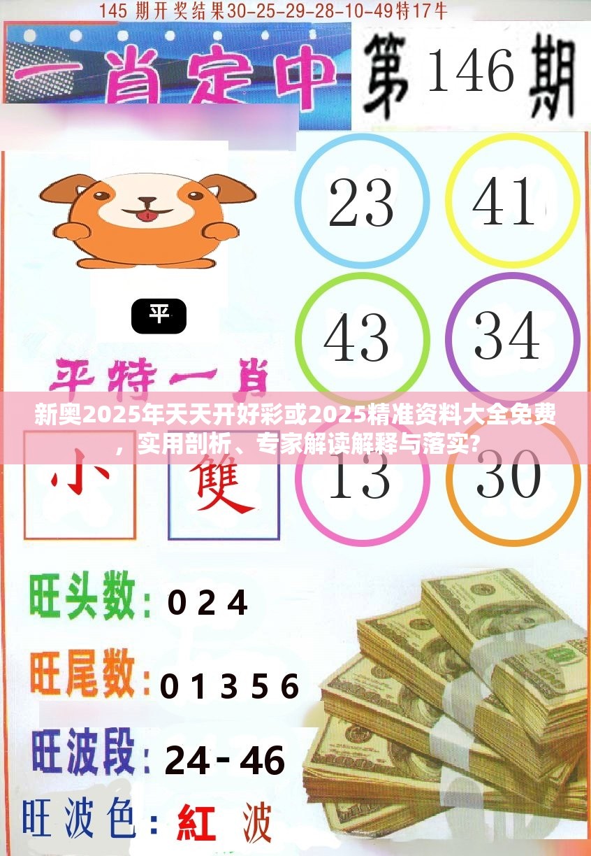 新奥2025年天天开好彩或2025精准资料大全免费，实用剖析、专家解读解释与落实?