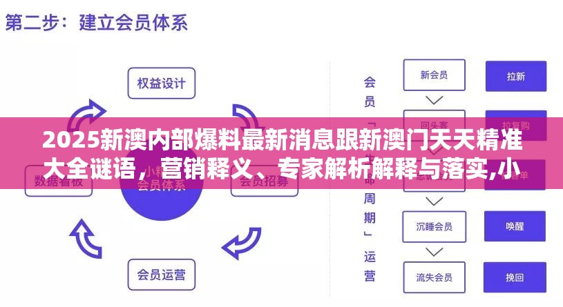 2025新澳内部爆料最新消息跟新澳门天天精准大全谜语，营销释义、专家解析解释与落实,小心言过其实推广