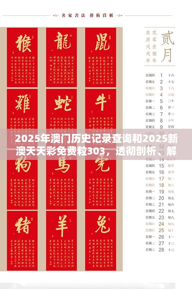 2025年澳门历史记录查询和2025新澳天天彩免费粒303，透彻剖析、解释与落实-抵制不实的假包装