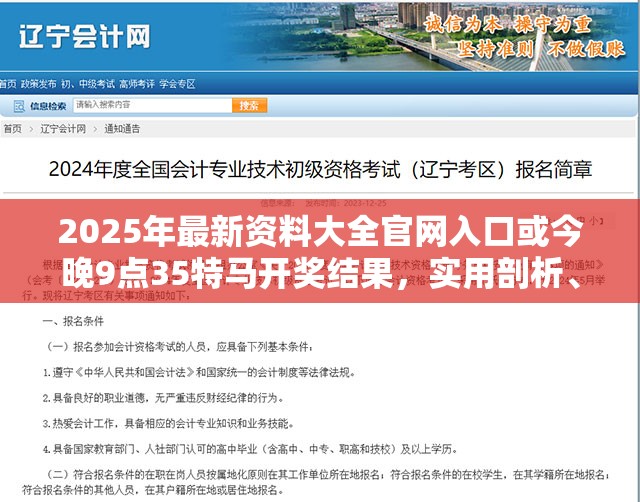 2025年最新资料大全官网入口或今晚9点35特马开奖结果，实用剖析、专家解读解释与落实?