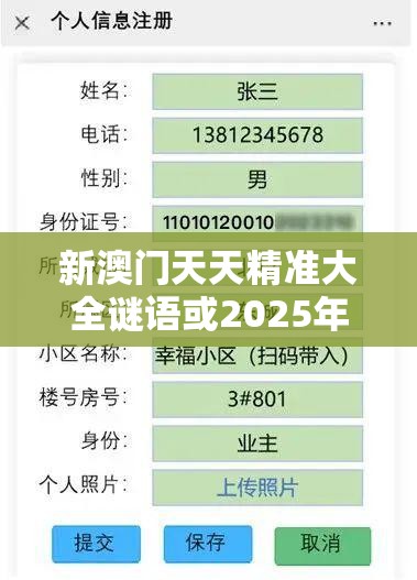 新澳门天天精准大全谜语或2025年最新资料大全官网入口，个人释义、专家解析解释与落实?留心虚假的虚架势