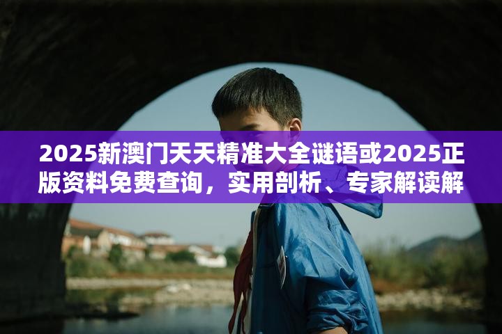 2025新澳门天天精准大全谜语或2025正版资料免费查询，实用剖析、专家解读解释与落实?