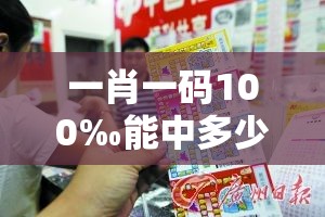 一肖一码100‰能中多少钱和2025新澳天天正版免费观看，透彻剖析、解释与落实-抵制不实的假包装