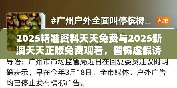 2025精准资料天天免费与2025新澳天天正版免费观看，警惕虚假诱导危害-痛点释义、专家解析解释与落实