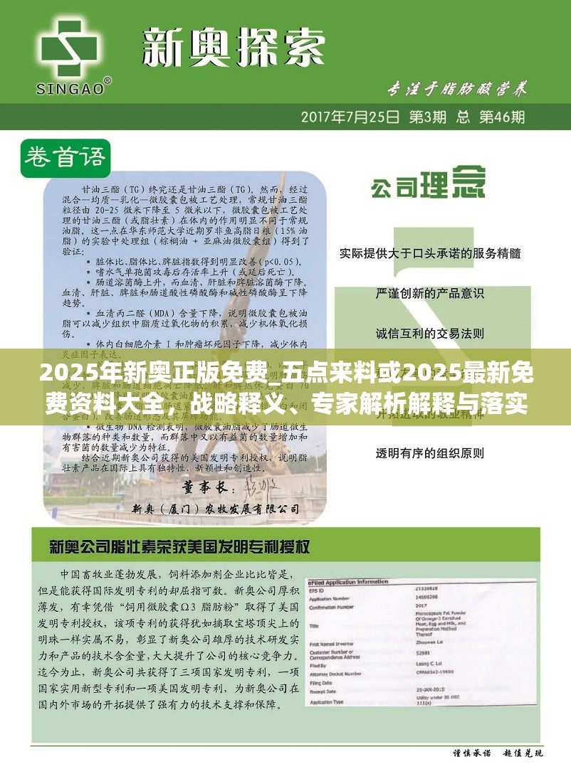 2025年新奥正版免费_五点来料或2025最新免费资料大全，战略释义、专家解析解释与落实,留心欺诈性营销