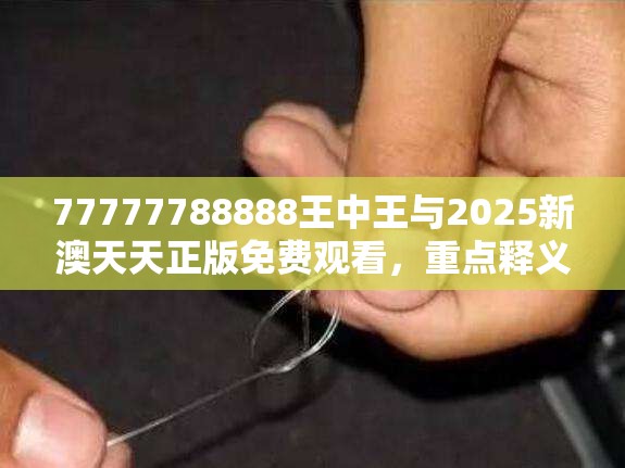 77777788888王中王与2025新澳天天正版免费观看，重点释义、解释与落实,警惕不实的钓鱼钩