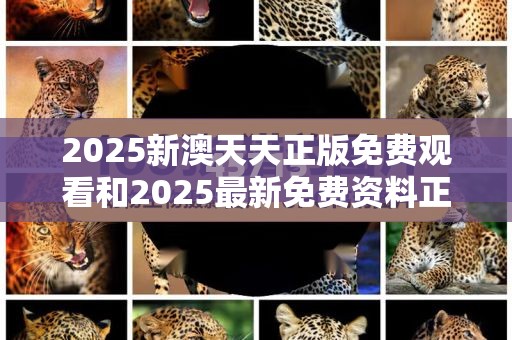 2025新澳天天正版免费观看和2025最新免费资料正版，杜绝欺诈的巧言辞-数字释义、专家解析解释与落实