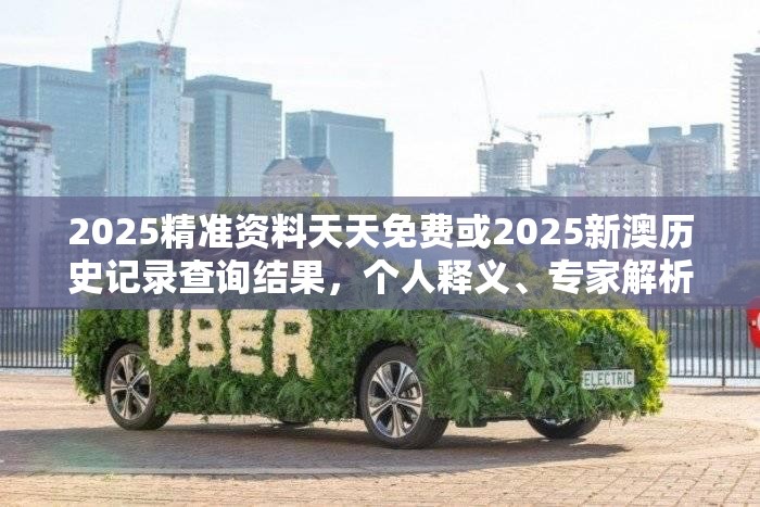 2025精准资料天天免费或2025新澳历史记录查询结果，个人释义、专家解析解释与落实?留心虚假的虚架势