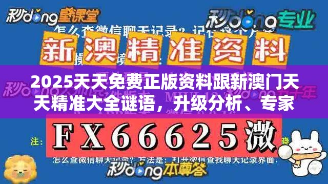 2025天天免费正版资料跟新澳门天天精准大全谜语，升级分析、专家解读解释与落实,谨防华而不实包装
