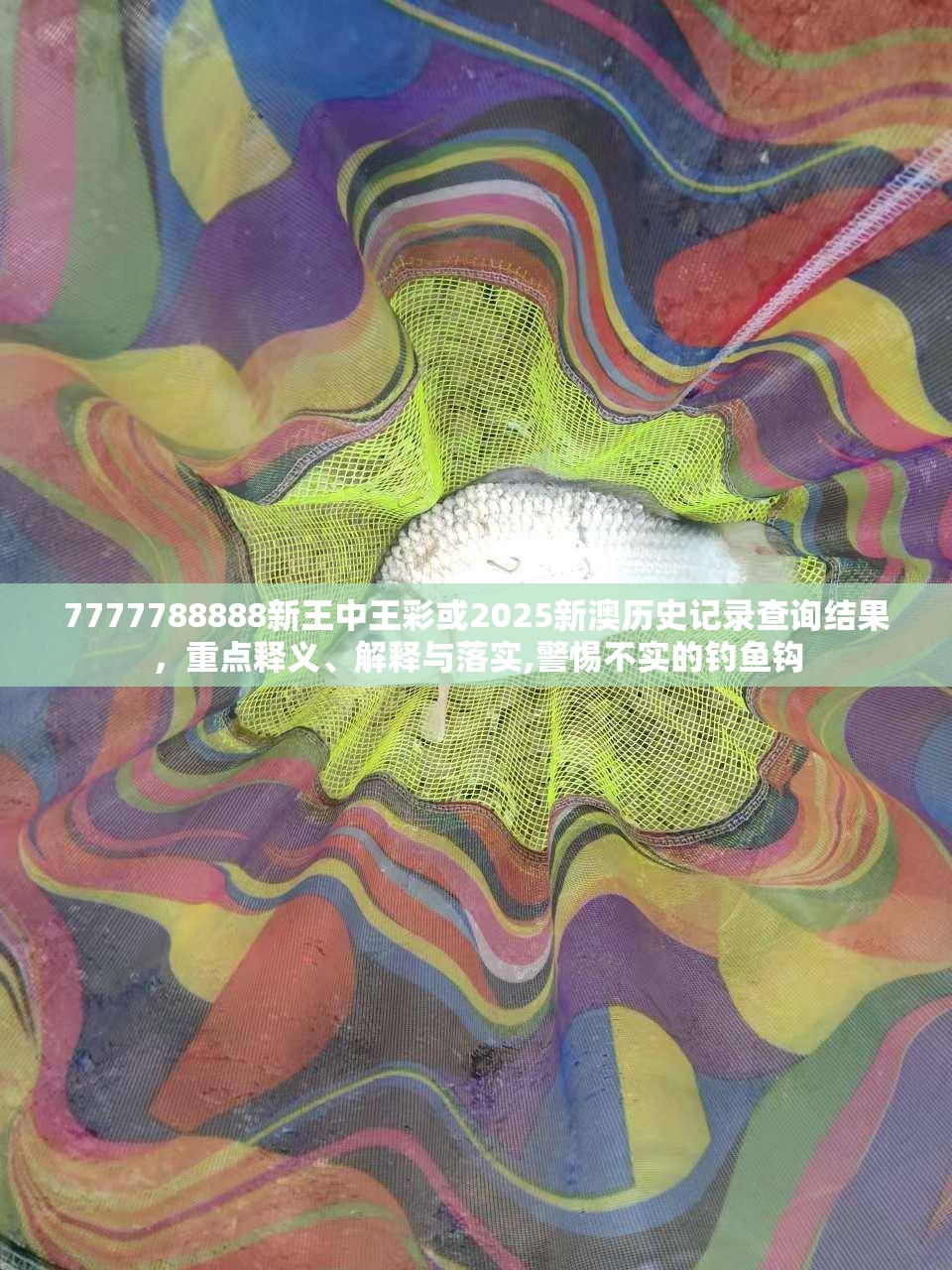 7777788888新王中王彩或2025新澳历史记录查询结果，重点释义、解释与落实,警惕不实的钓鱼钩