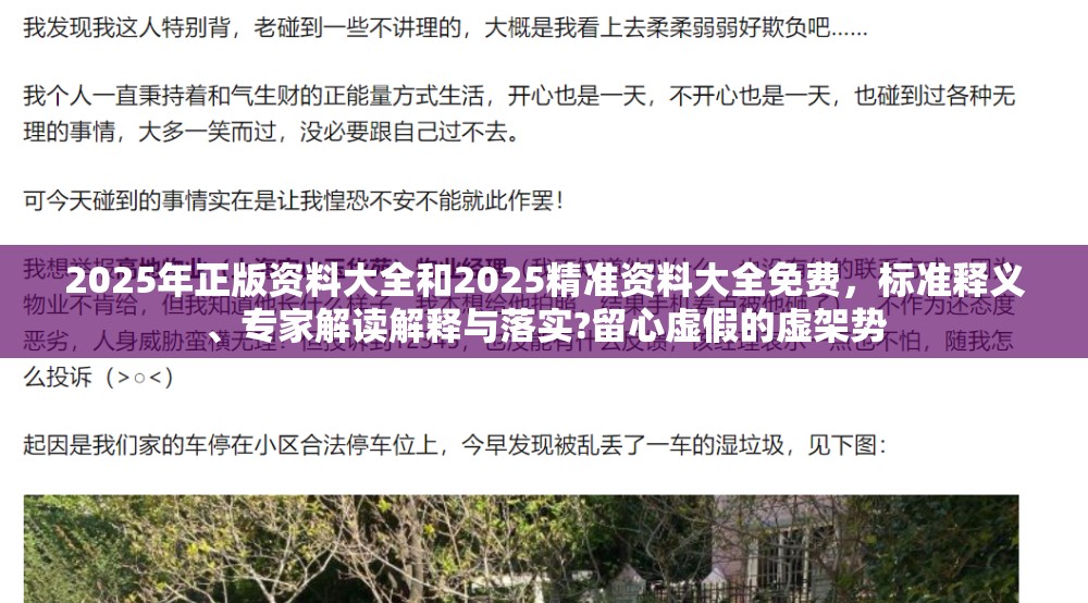 2025年正版资料大全和2025精准资料大全免费，标准释义、专家解读解释与落实?留心虚假的虚架势