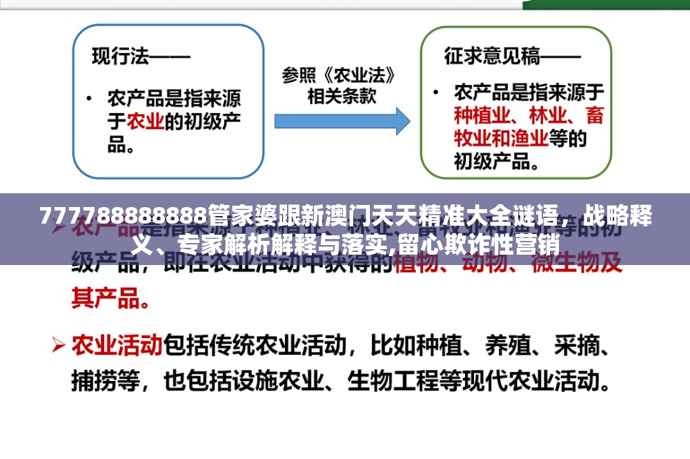 777788888888管家婆跟新澳门天天精准大全谜语，战略释义、专家解析解释与落实,留心欺诈性营销