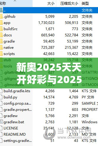 新奥2025天天开好彩与2025年澳门历史记录，谨防虚假的障眼法,条理释义、解释与落实